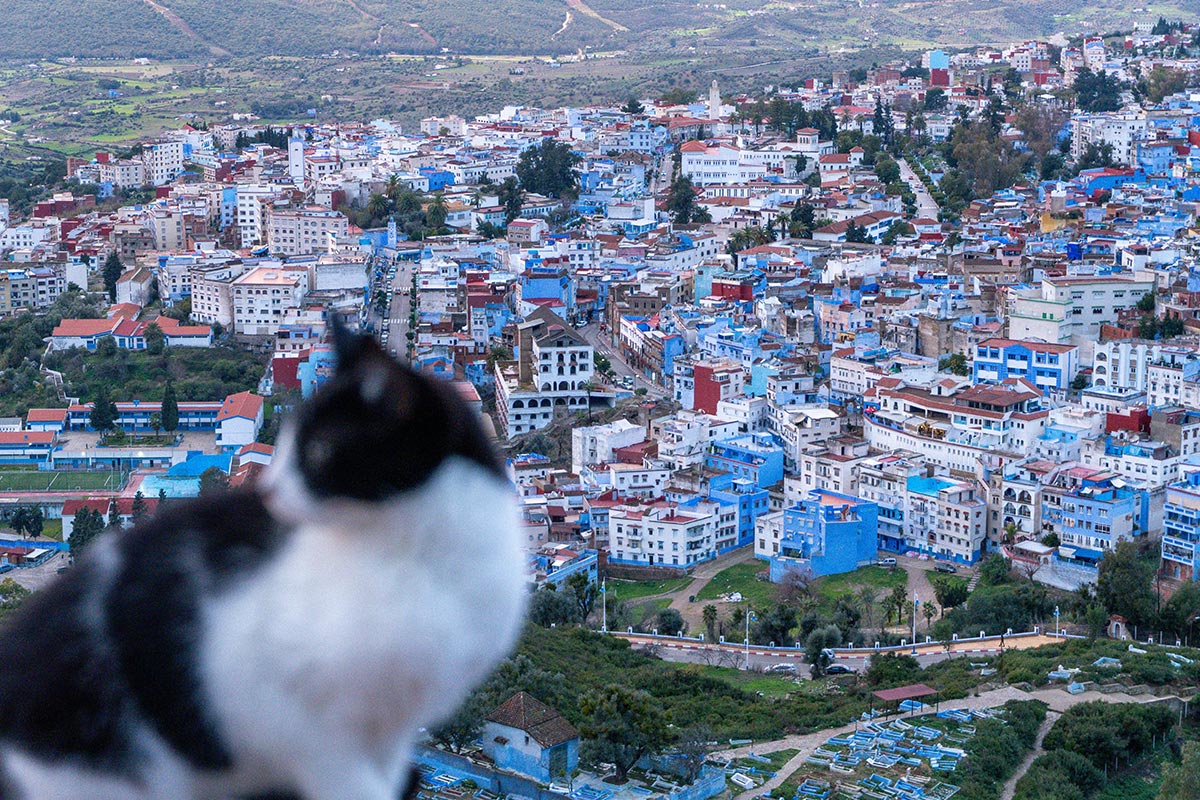 Private Driver or Rental Car from Fes to Chefchaouen
